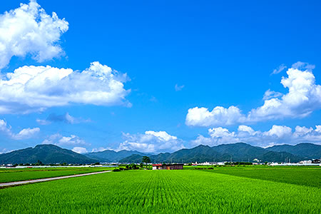 知識と技術1